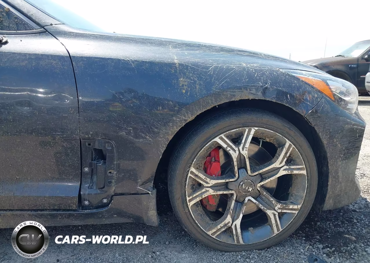 2019 Kia Stinger Gt VIN:KNAE35LC2K6051352 - 6