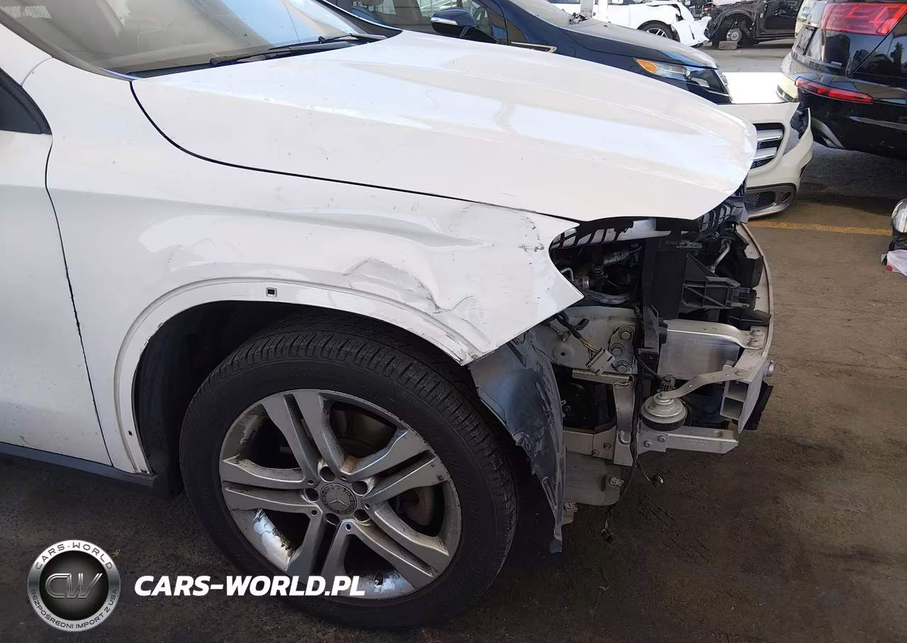 2015 Mercedes-Benz Gla 250 VIN:WDCTG4EB3FJ185569 - 18