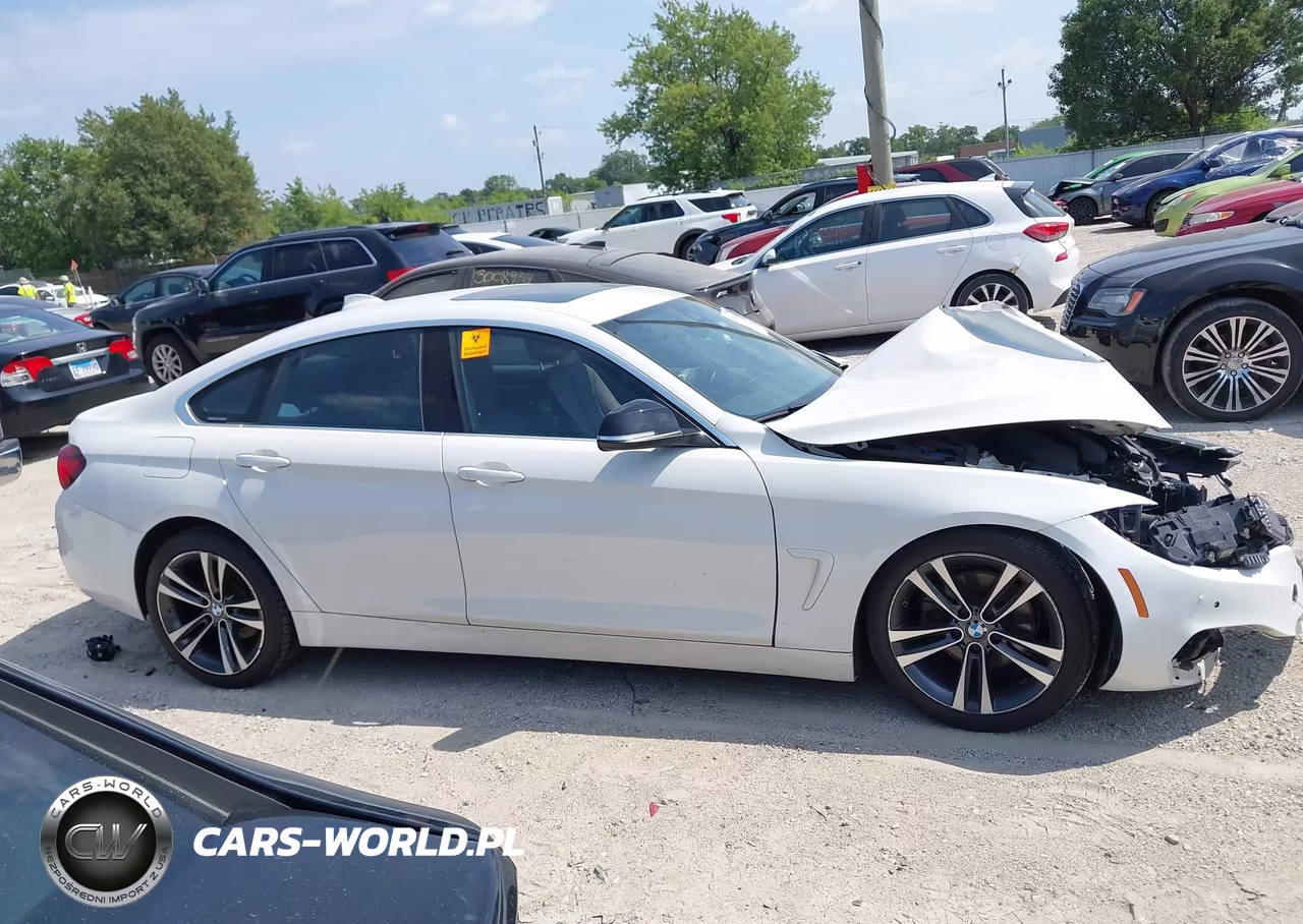 2020 BMW 430I Gran Coupe VIN:WBA4J1C09LCD53744 - 13
