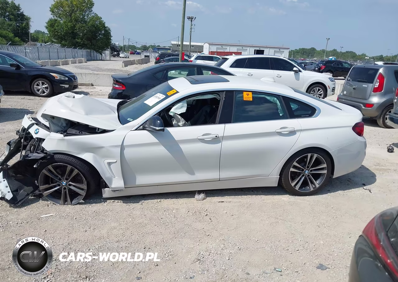 2020 BMW 430I Gran Coupe VIN:WBA4J1C09LCD53744 - 14