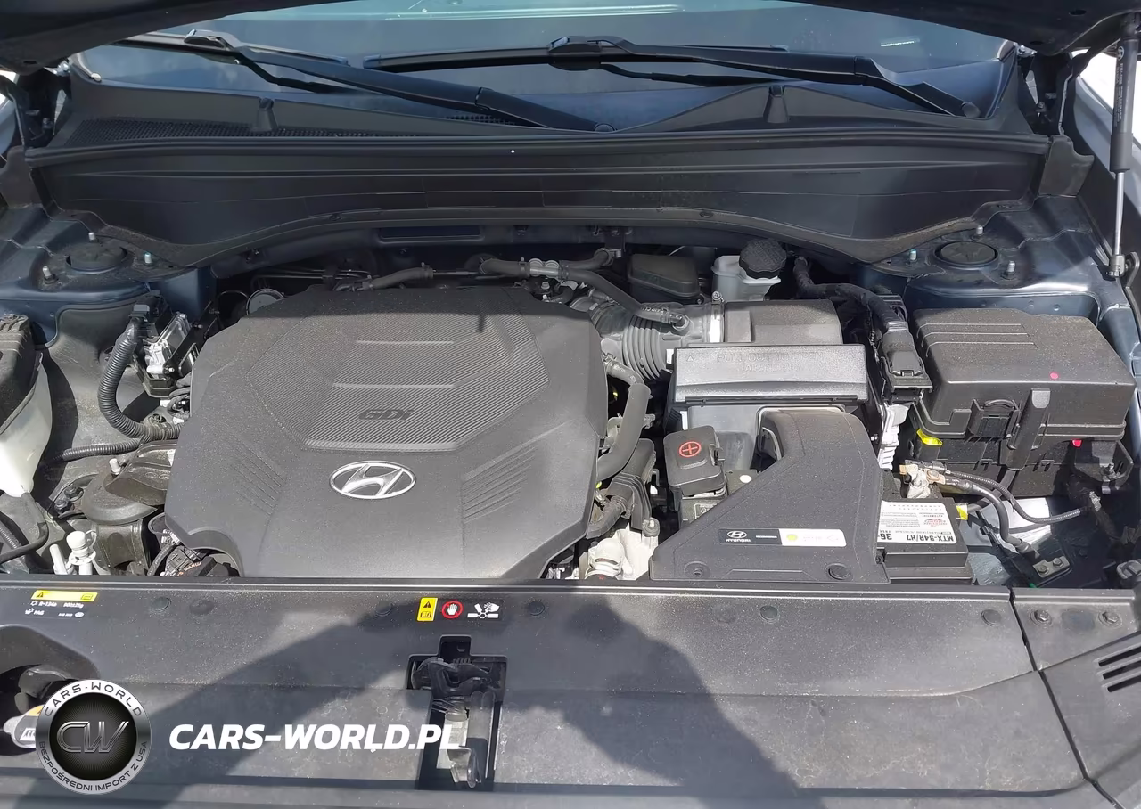 2020 Hyundai Palisade Sel VIN:KM8R44HE2LU108762 - 10