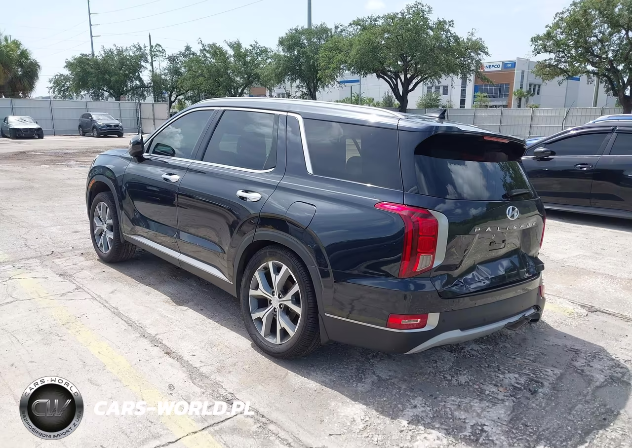 2020 Hyundai Palisade Sel VIN:KM8R44HE2LU108762 - 3