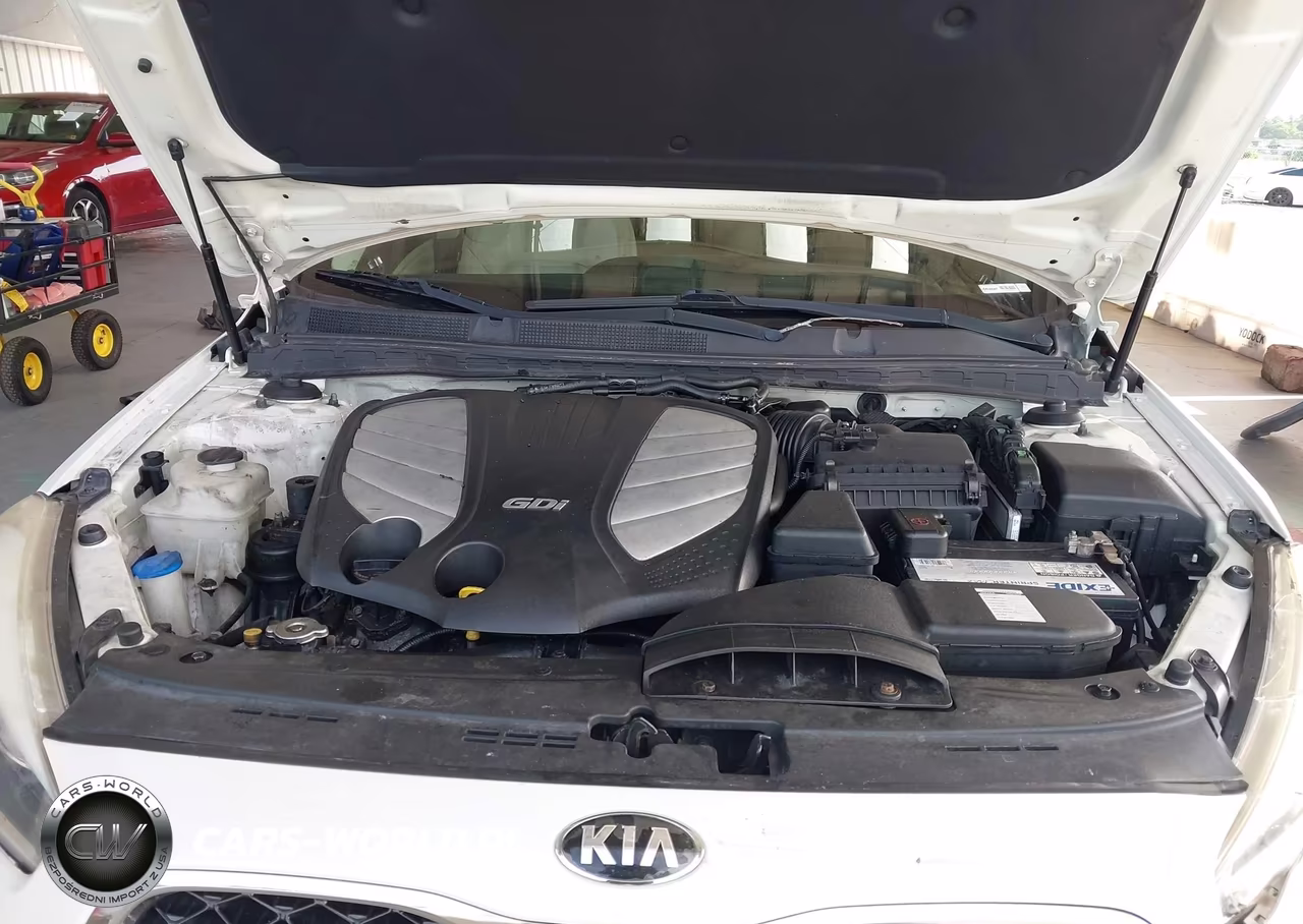 2015 Kia Cadenza Premium VIN:KNALN4D78F5171388 - 10