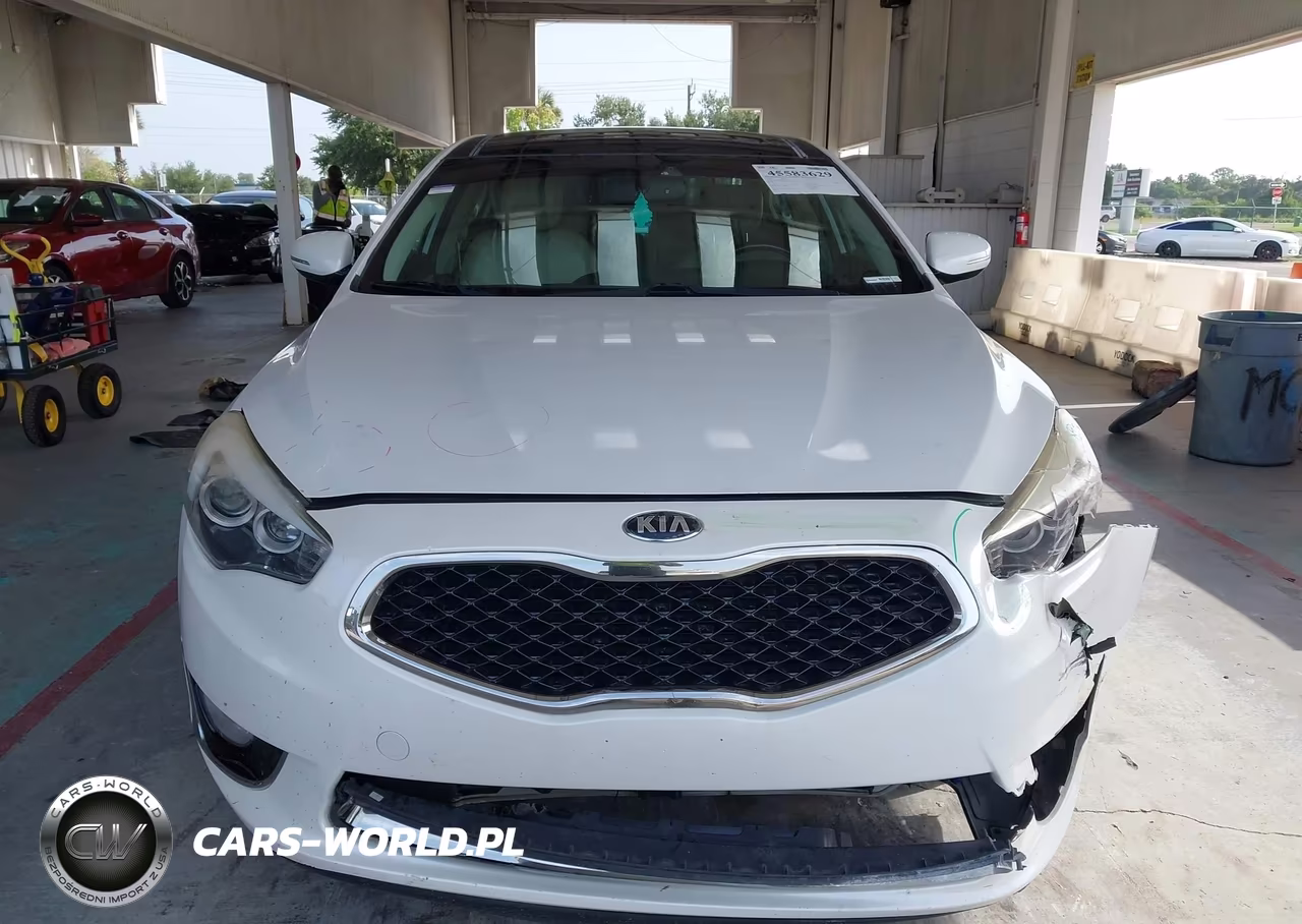 2015 Kia Cadenza Premium VIN:KNALN4D78F5171388 - 12
