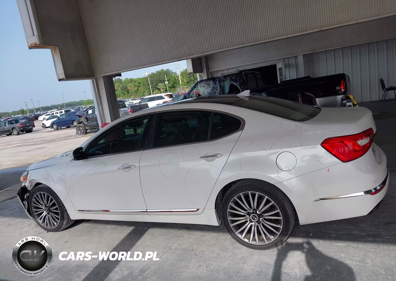 2015 Kia Cadenza Premium VIN:KNALN4D78F5171388 - 14