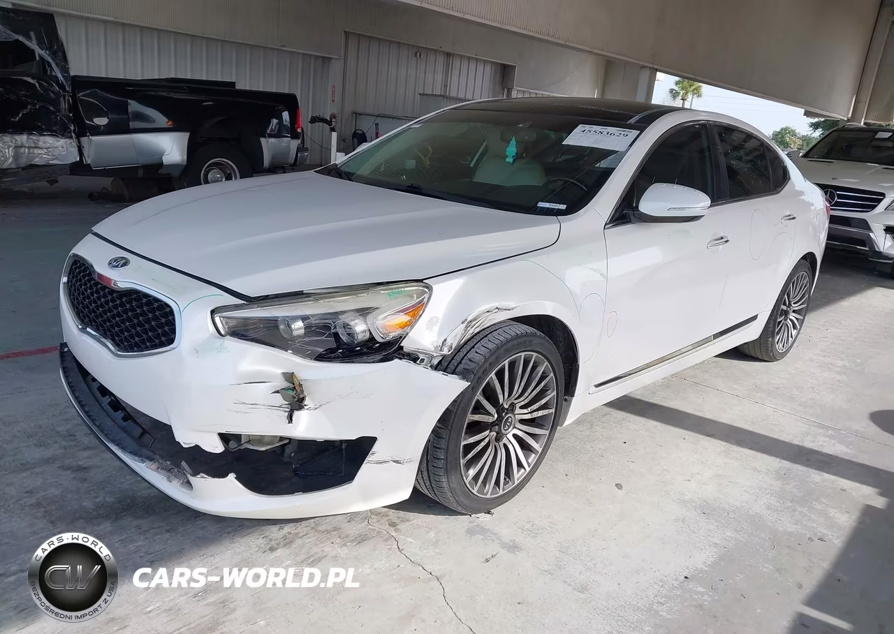 2015 Kia Cadenza Premium VIN:KNALN4D78F5171388 - 2