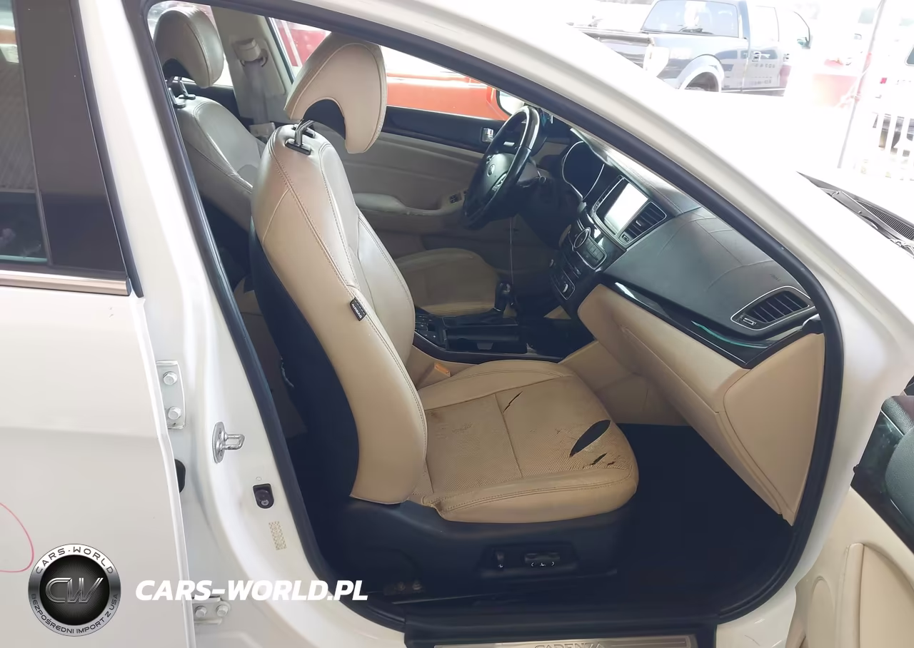 2015 Kia Cadenza Premium VIN:KNALN4D78F5171388 - 5