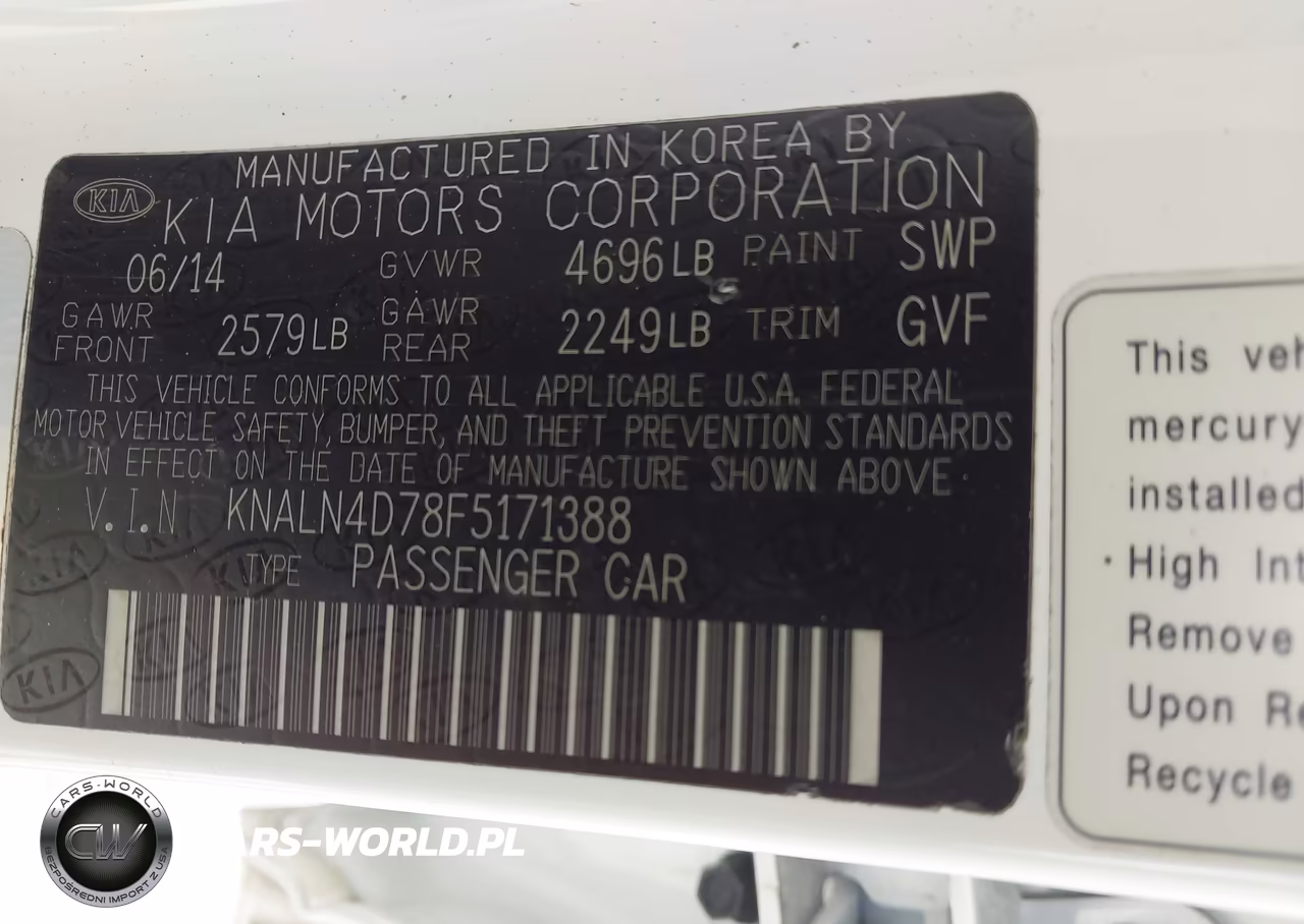 2015 Kia Cadenza Premium VIN:KNALN4D78F5171388 - 9