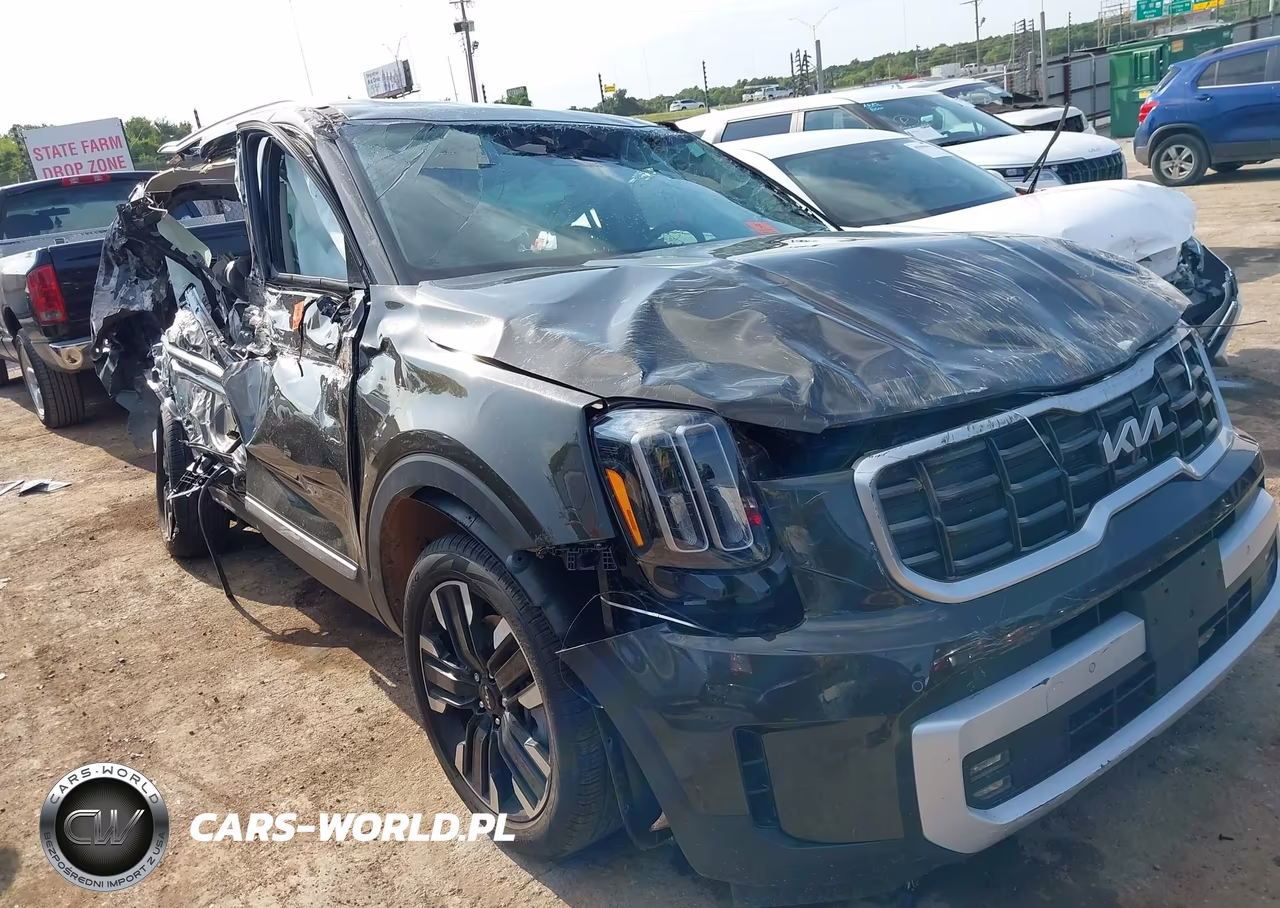 2025 Kia Telluride Sx VIN:5XYP54GC9SG607289 - 1