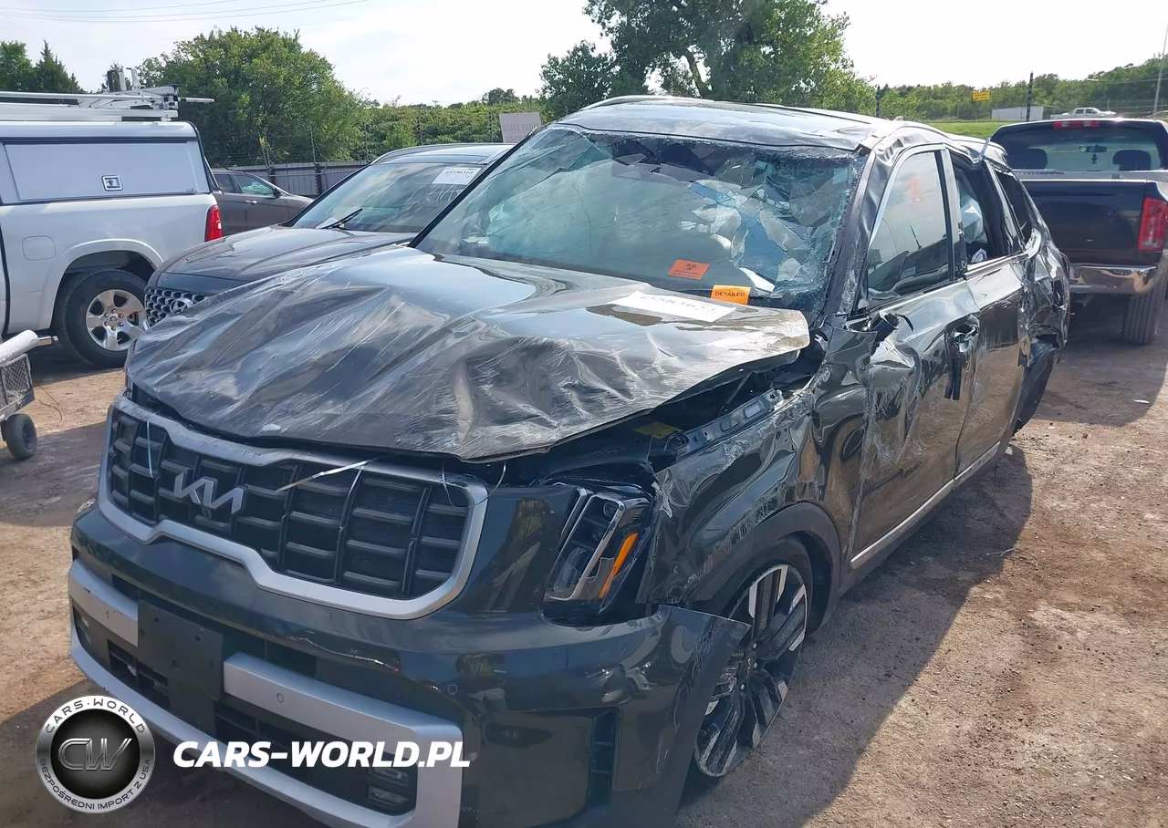 2025 Kia Telluride Sx VIN:5XYP54GC9SG607289 - 2