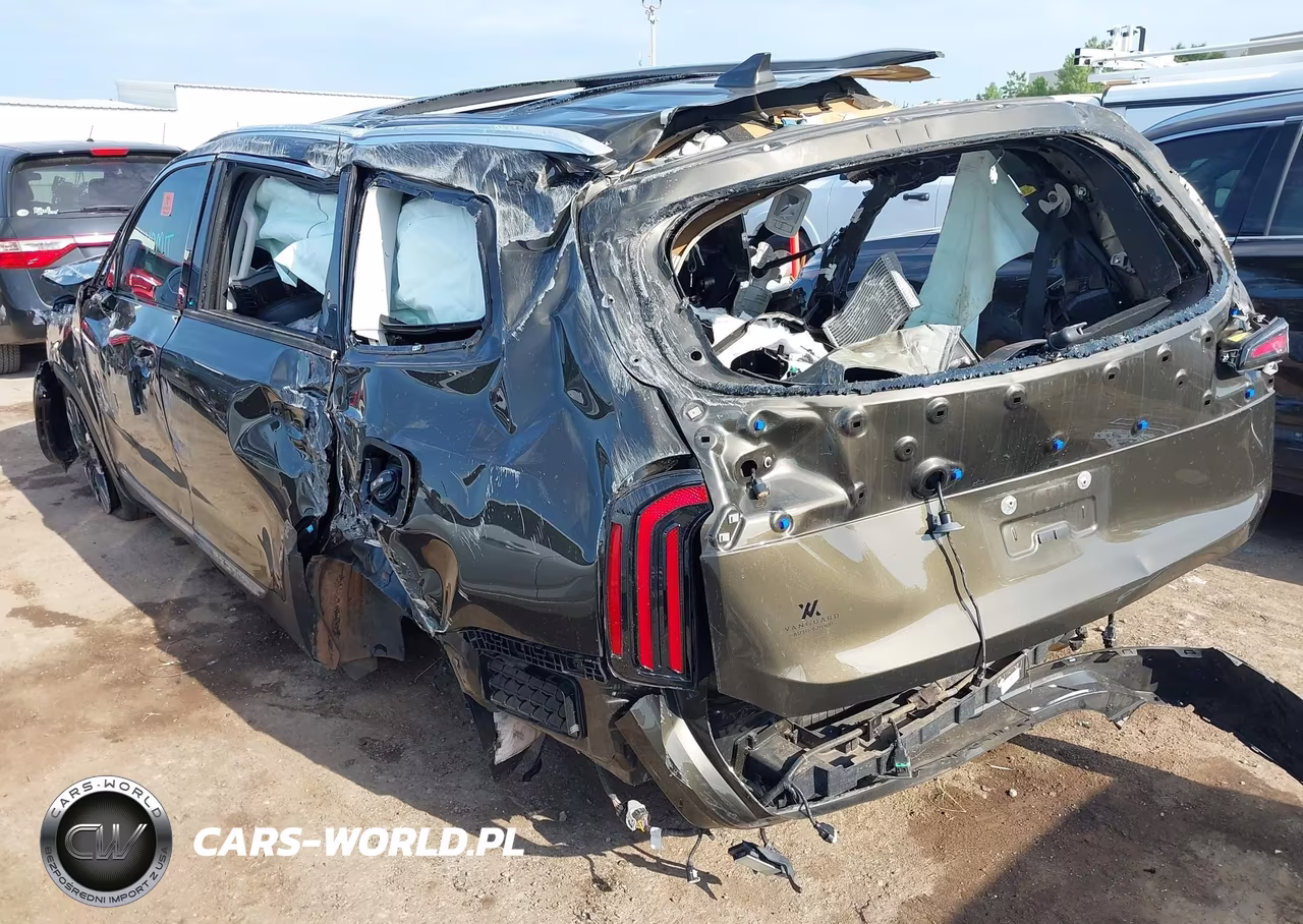 2025 Kia Telluride Sx VIN:5XYP54GC9SG607289 - 3