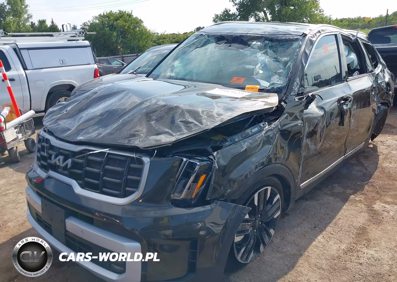 2025 Kia Telluride Sx VIN:5XYP54GC9SG607289 - 6