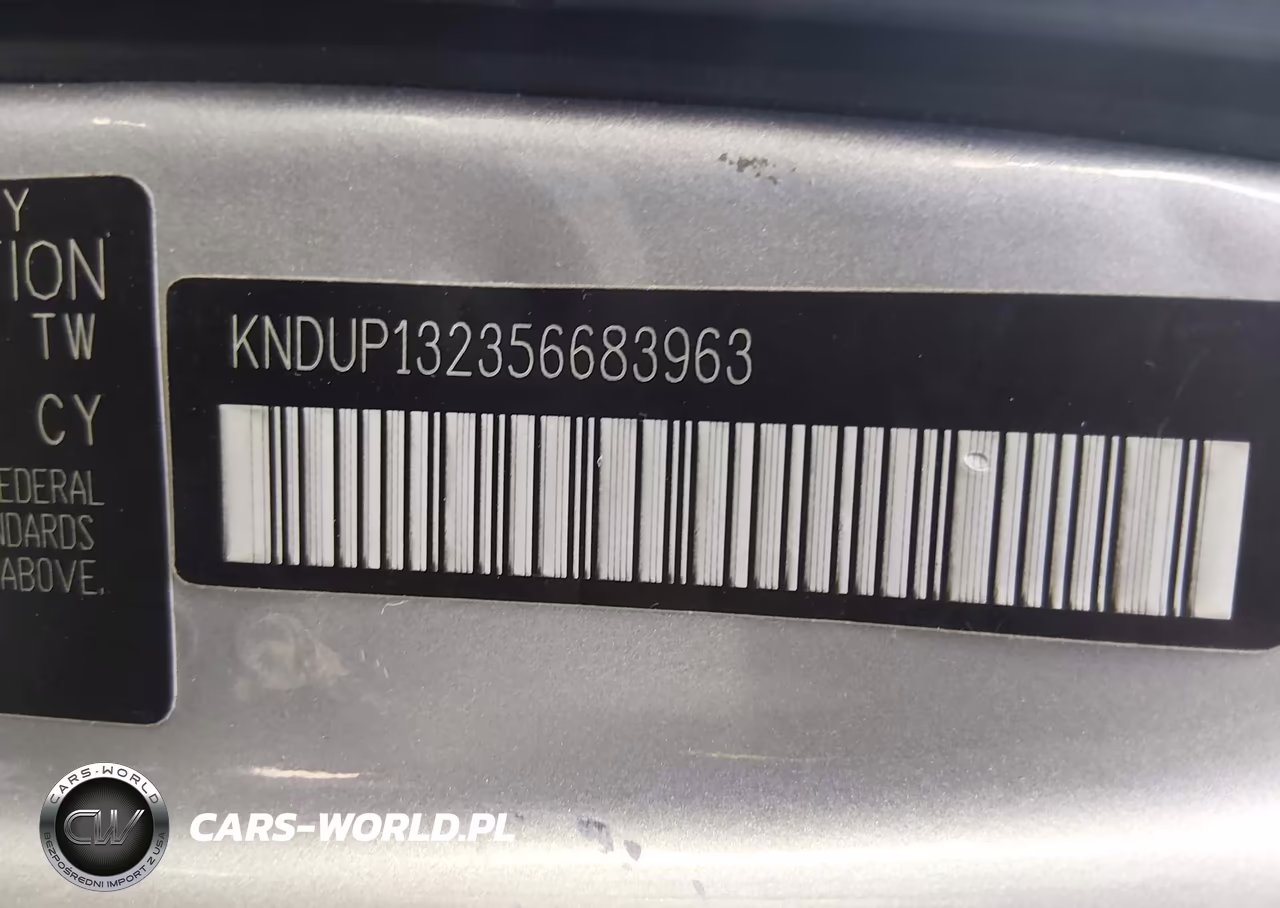 2005 Kia Sedona Ex-Lx VIN:KNDUP132356683963 - 9