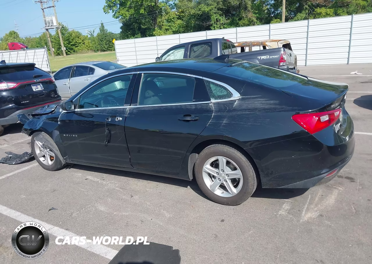 2024 Chevrolet Malibu Fwd 1Lt VIN:1G1ZD5ST0RF163069 - 15