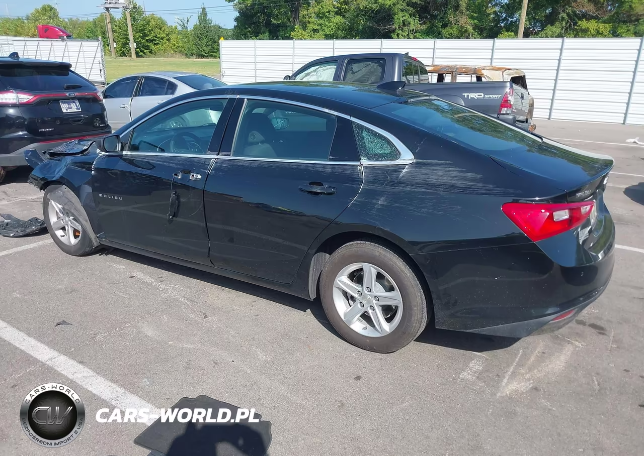 2024 Chevrolet Malibu Fwd 1Lt VIN:1G1ZD5ST0RF163069 - 3