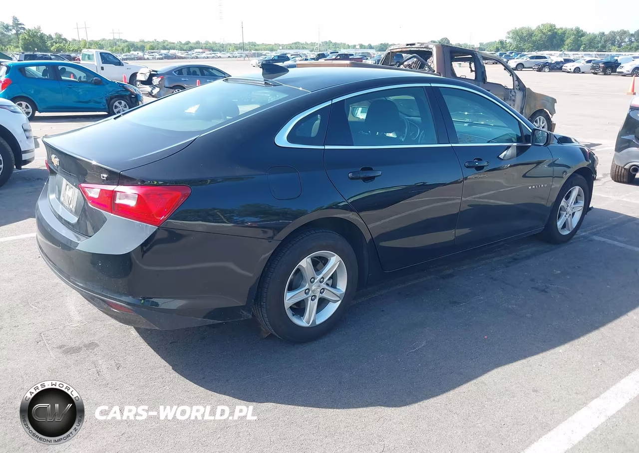 2024 Chevrolet Malibu Fwd 1Lt VIN:1G1ZD5ST0RF163069 - 4