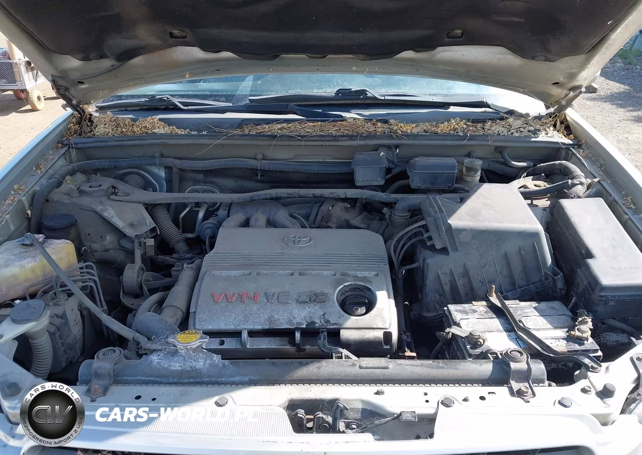 2004 Toyota Highlander Limited V6 VIN:JTEEP21A740018209 - 10
