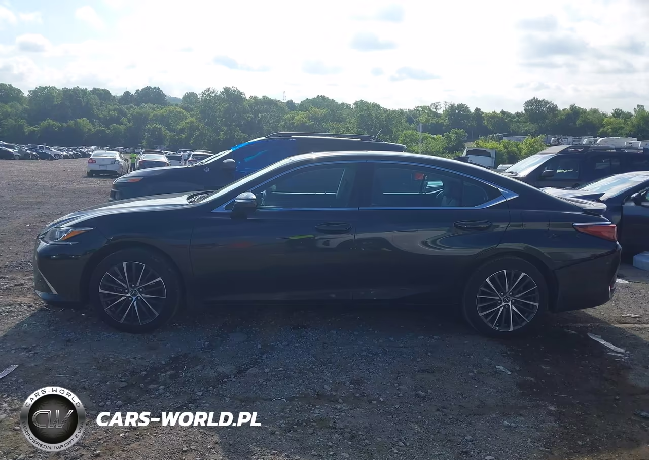 2025 Lexus Es 300H VIN:58ADA1C13SU062422 - 14