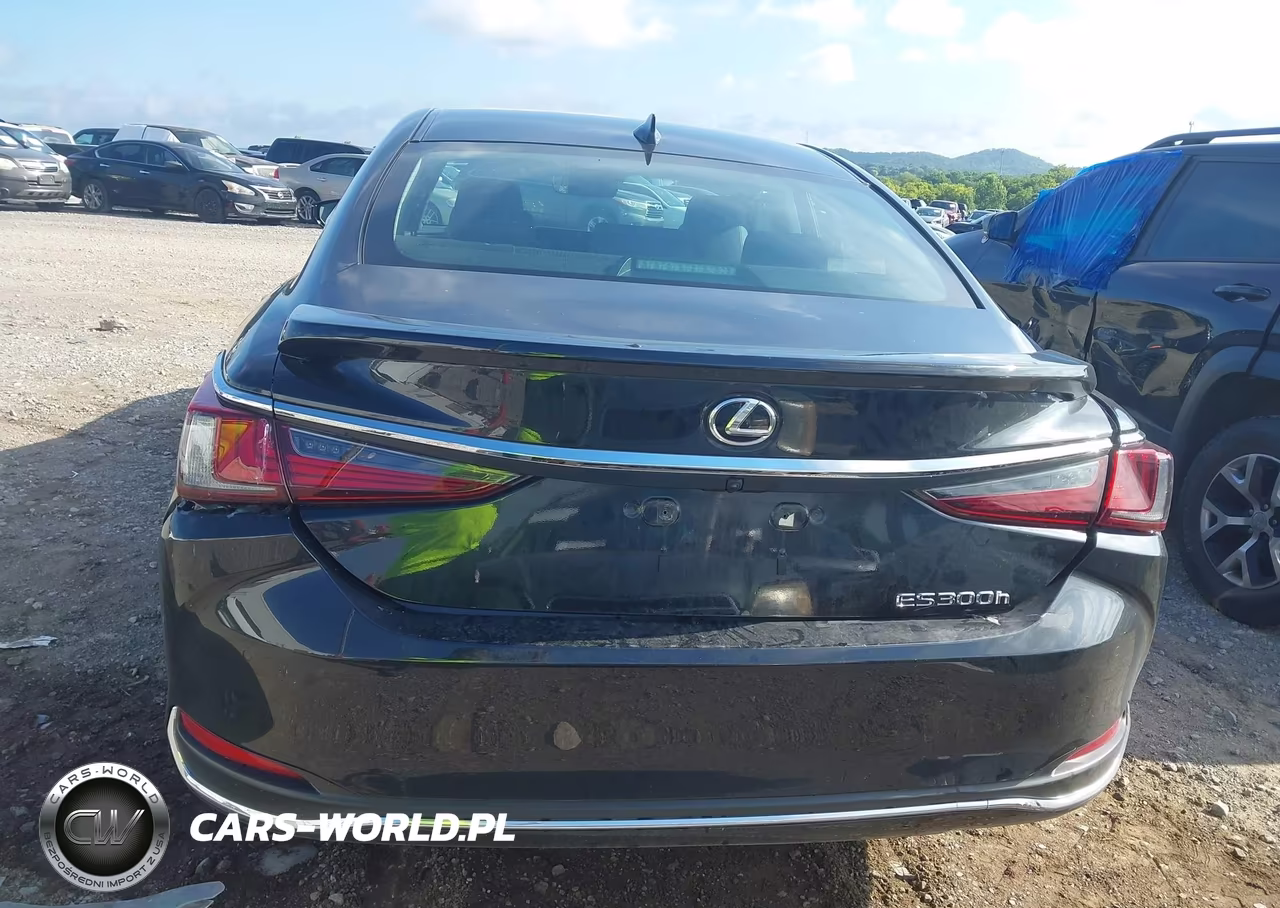 2025 Lexus Es 300H VIN:58ADA1C13SU062422 - 16