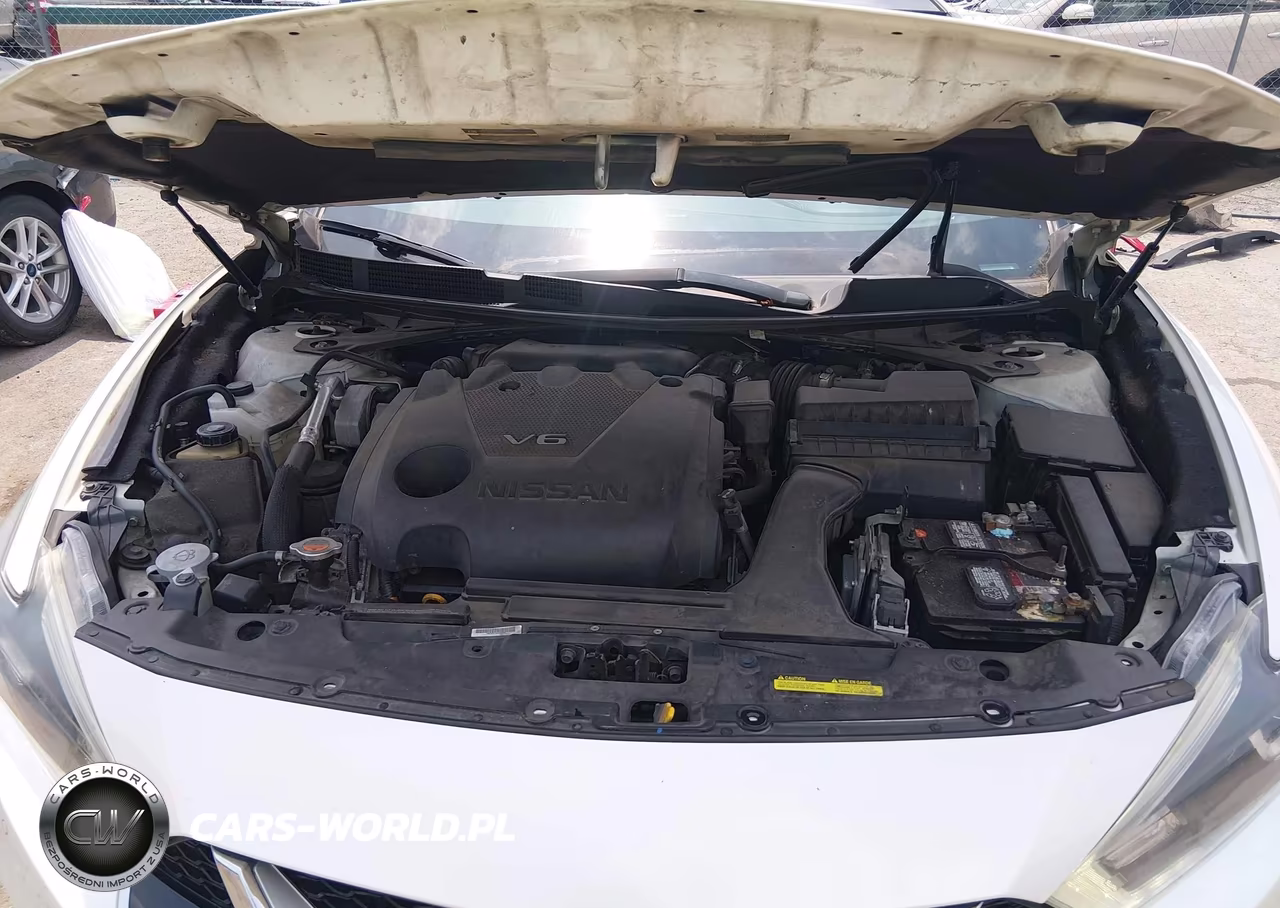 2016 Nissan Maxima 3.5 Platinum VIN:1N4AA6AP9GC382771 - 10