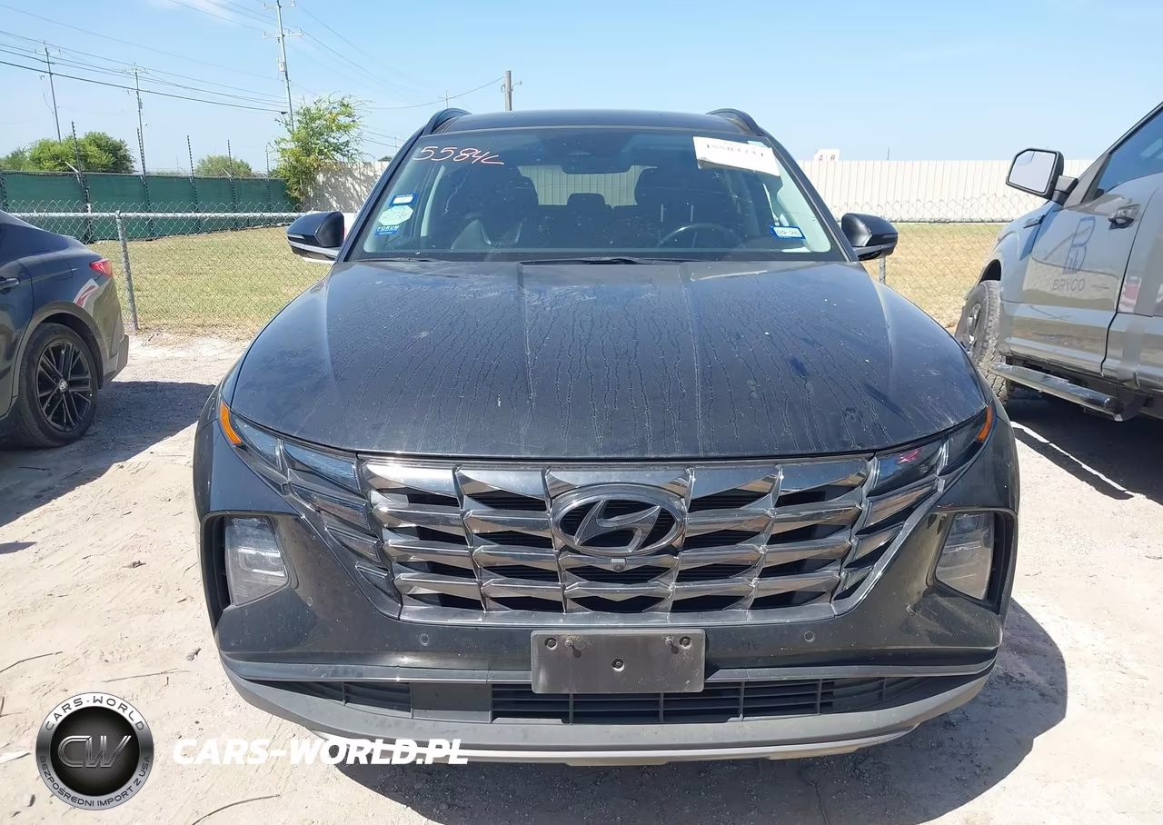 2023 Hyundai Tucson Limited VIN:5NMJE3AE2PH163129 - 12