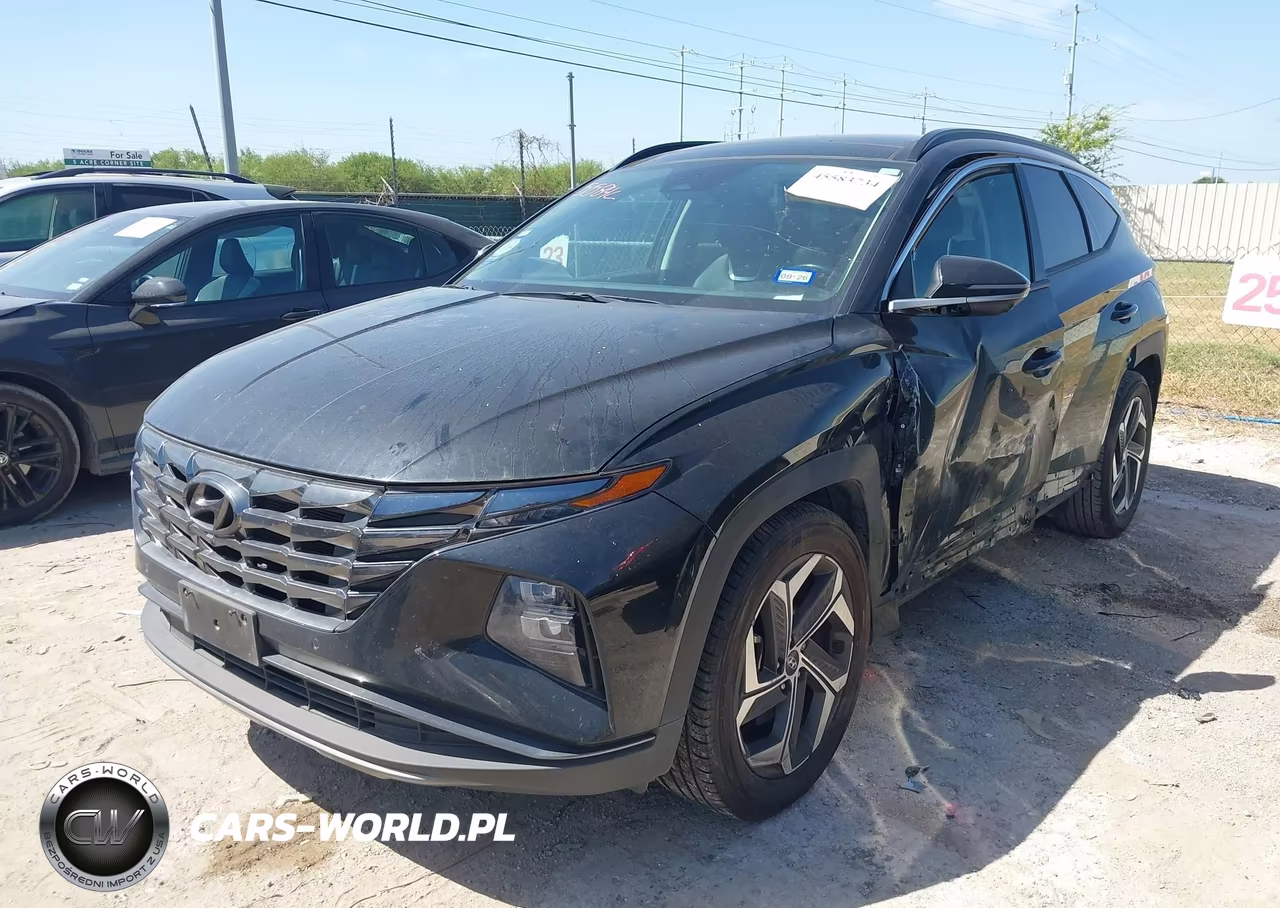2023 Hyundai Tucson Limited VIN:5NMJE3AE2PH163129 - 2