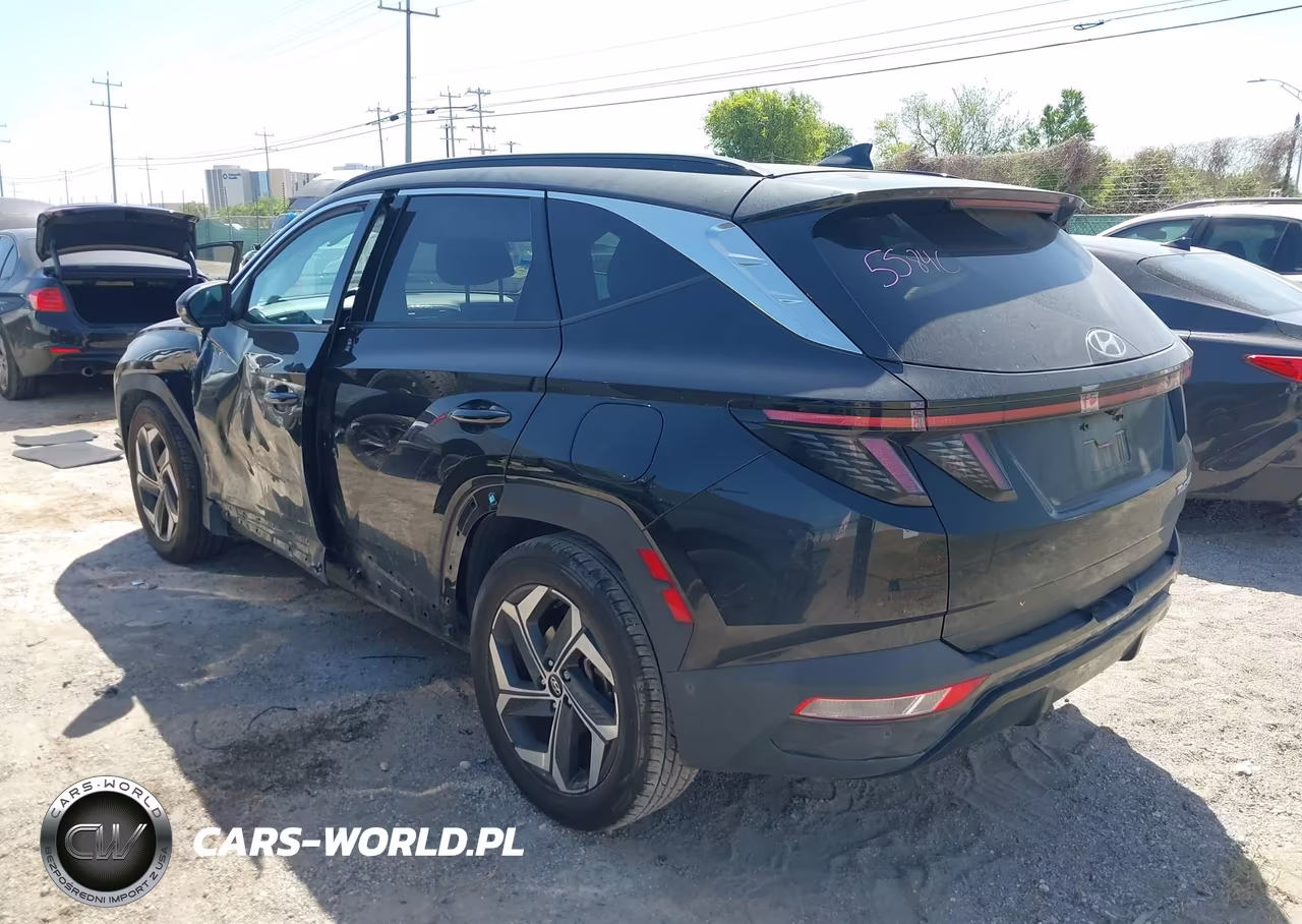 2023 Hyundai Tucson Limited VIN:5NMJE3AE2PH163129 - 3