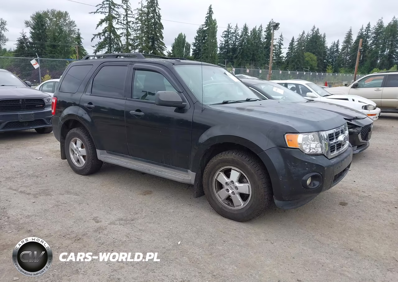 2011 Ford Escape Xlt