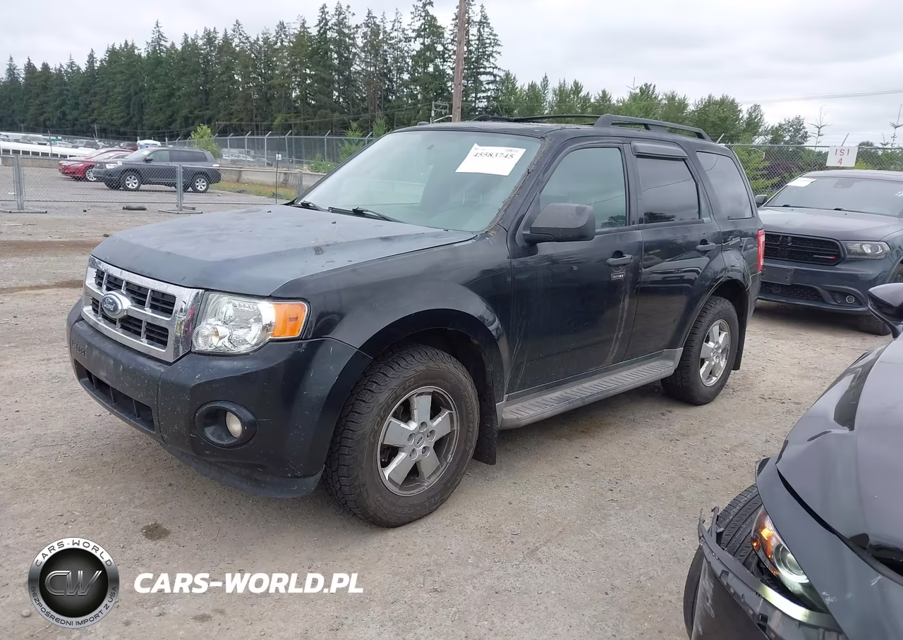 2011 Ford Escape Xlt VIN:1FMCU9DG8BKA50595 - 2
