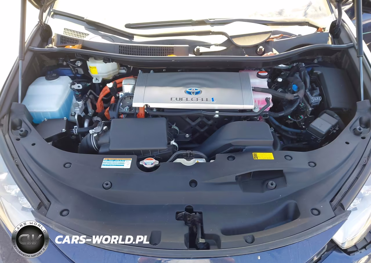 2017 TOYOTA MIRAI VIN:JTDBVRBD1HA003218 - 10