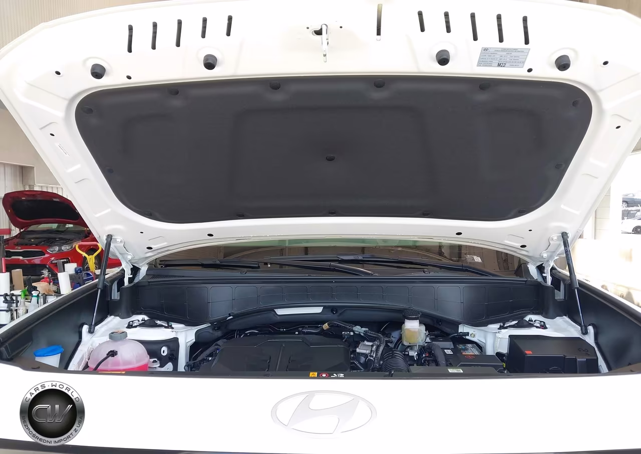 2026 Hyundai Palisade Sel 8P VIN:KM8RL5S24TU122850 - 10