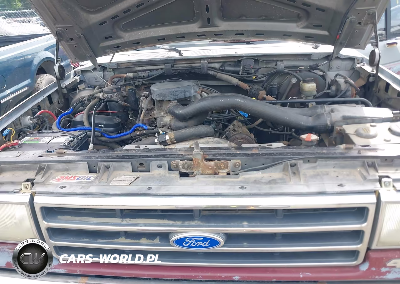 1991 Ford F150 VIN:1FTEF14N6MNA06703 - 10