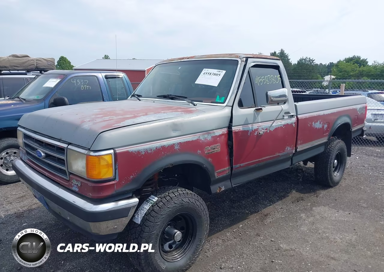 1991 Ford F150 VIN:1FTEF14N6MNA06703 - 2