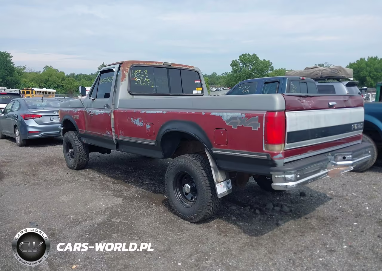 1991 Ford F150 VIN:1FTEF14N6MNA06703 - 3
