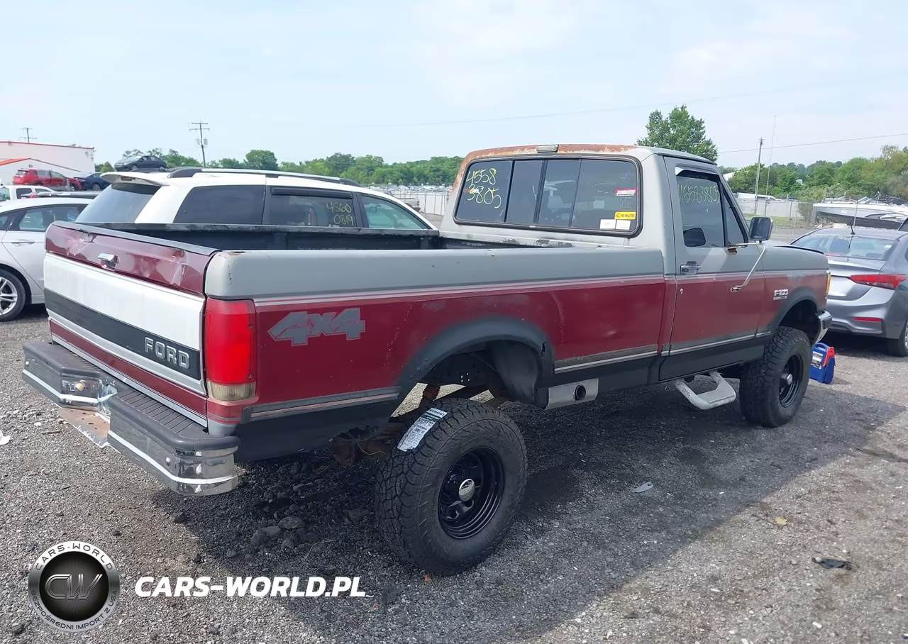 1991 Ford F150 VIN:1FTEF14N6MNA06703 - 4