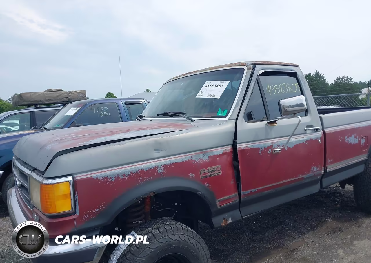 1991 Ford F150 VIN:1FTEF14N6MNA06703 - 6