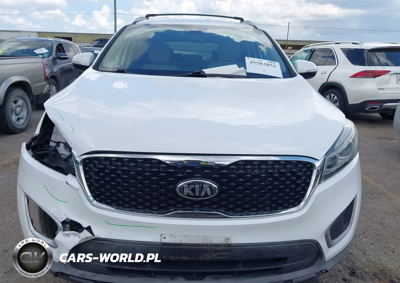 2016 Kia Sorento 2.4L Lx VIN:5XYPG4A33GG040703 - 12