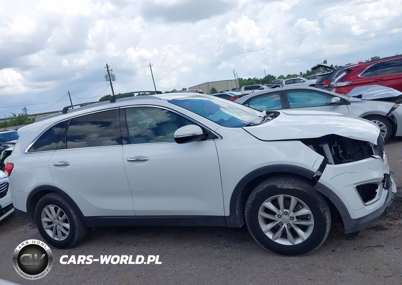 2016 Kia Sorento 2.4L Lx VIN:5XYPG4A33GG040703 - 13
