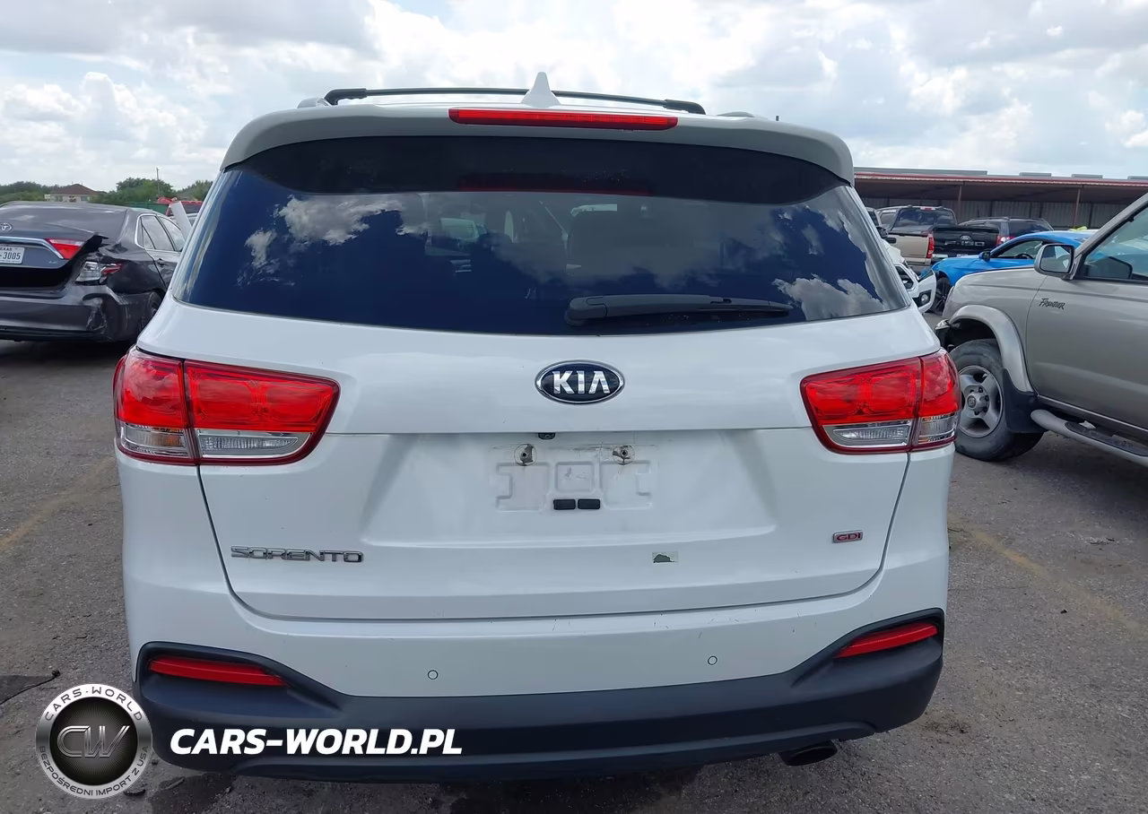 2016 Kia Sorento 2.4L Lx VIN:5XYPG4A33GG040703 - 16