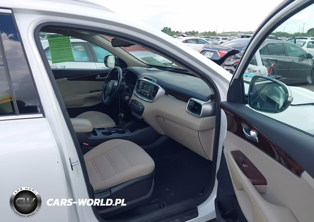 2016 Kia Sorento 2.4L Lx VIN:5XYPG4A33GG040703 - 5