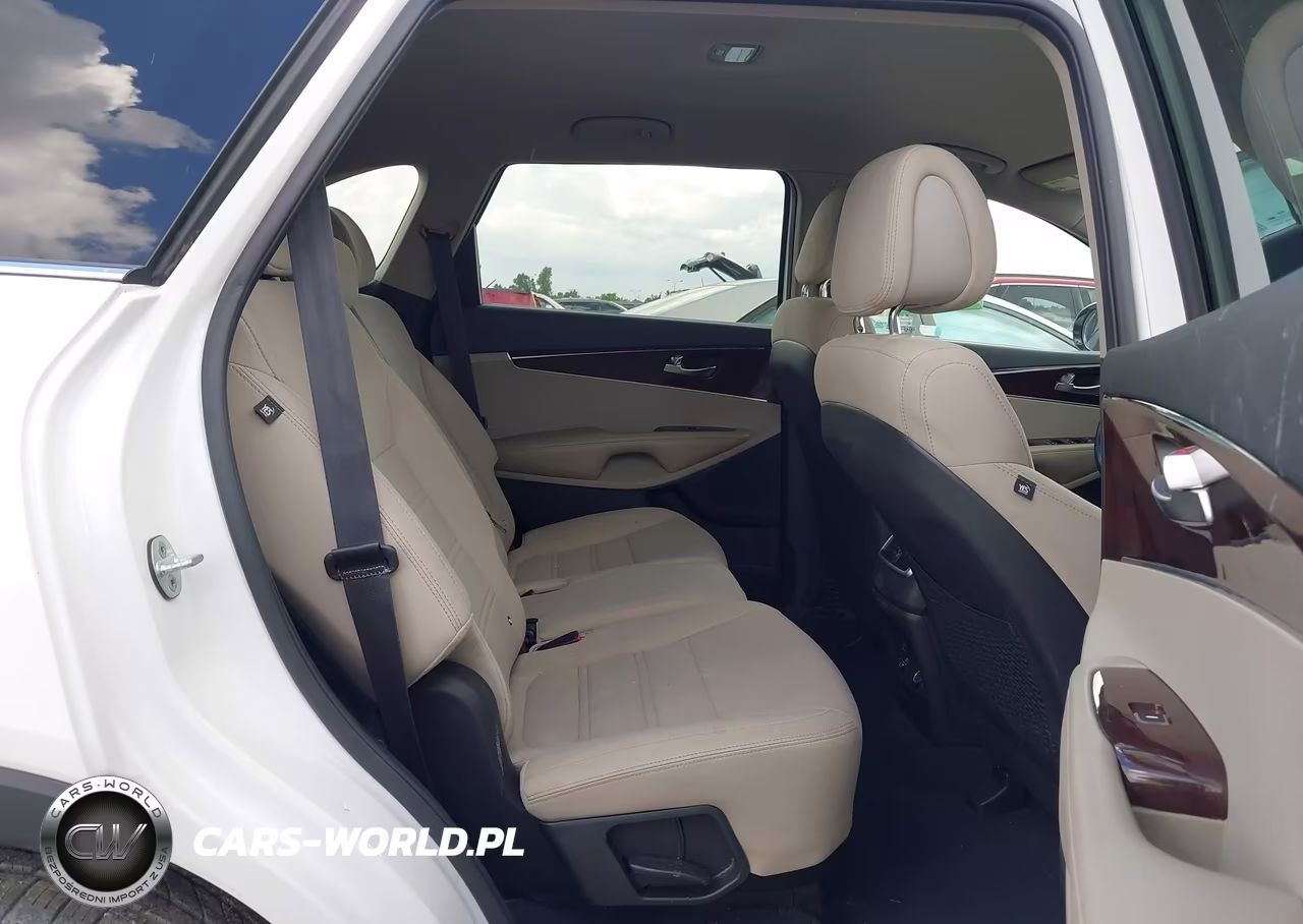 2016 Kia Sorento 2.4L Lx VIN:5XYPG4A33GG040703 - 8