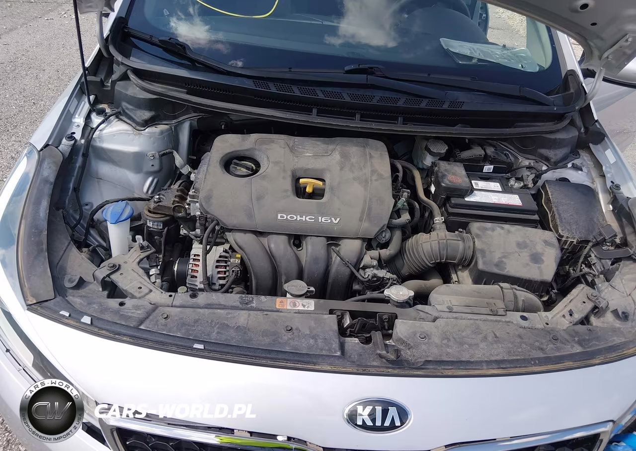 2017 Kia Forte Lx VIN:3KPFK4A78HE089729 - 10