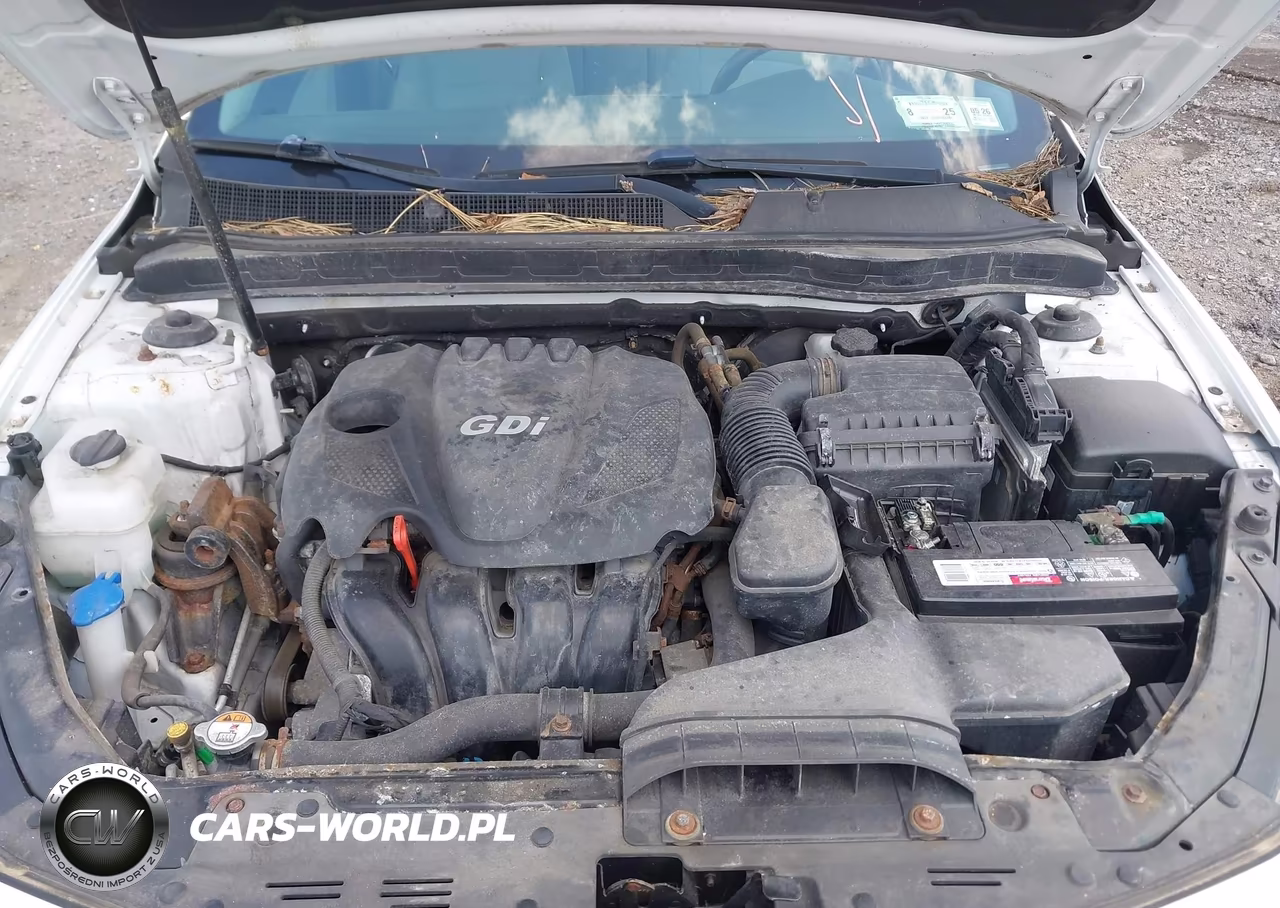 2015 Kia Optima Lx VIN:5XXGM4A7XFG507050 - 10