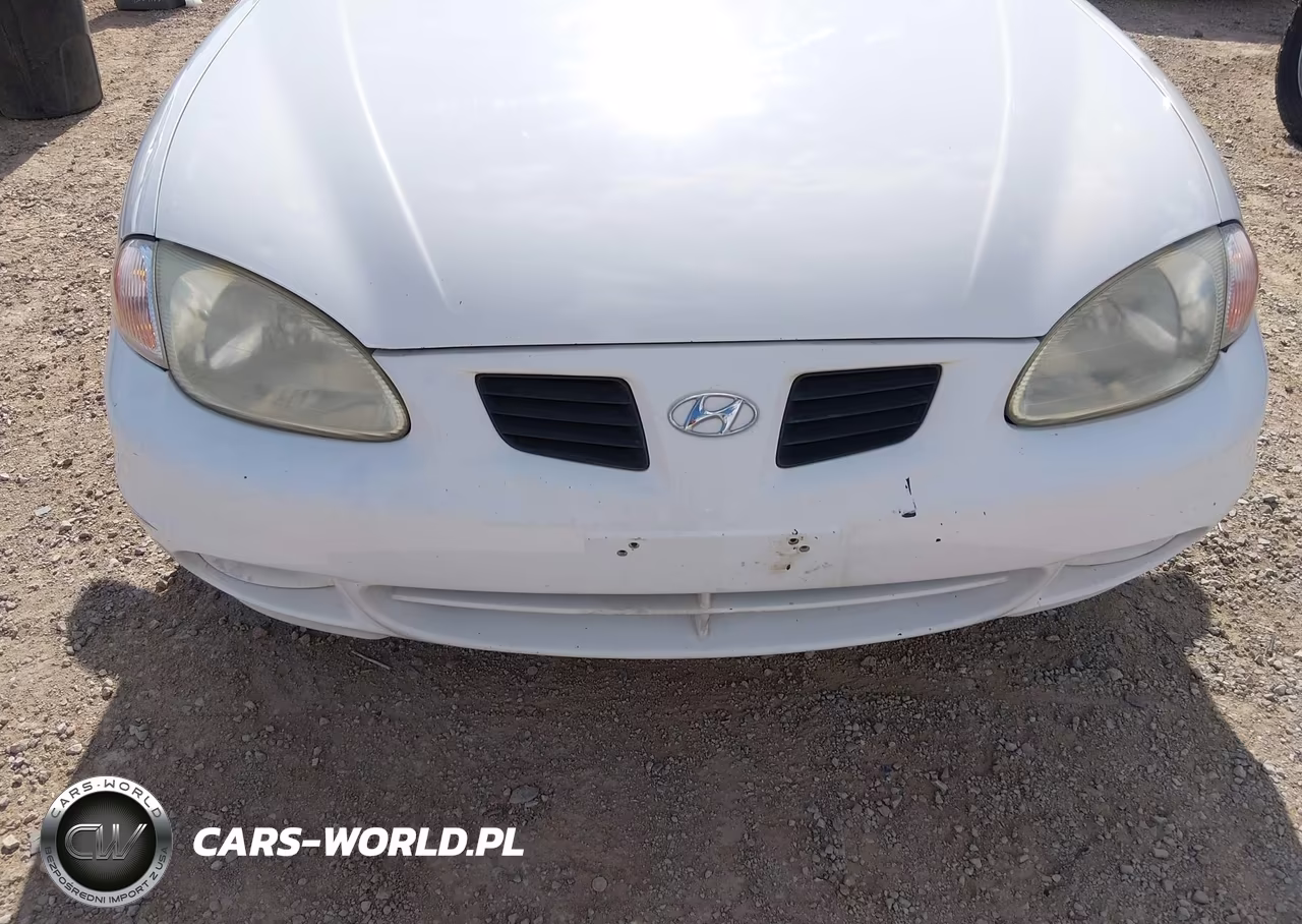1999 Hyundai Elantra Gl VIN:KMHJF25F0XU853279 - 6