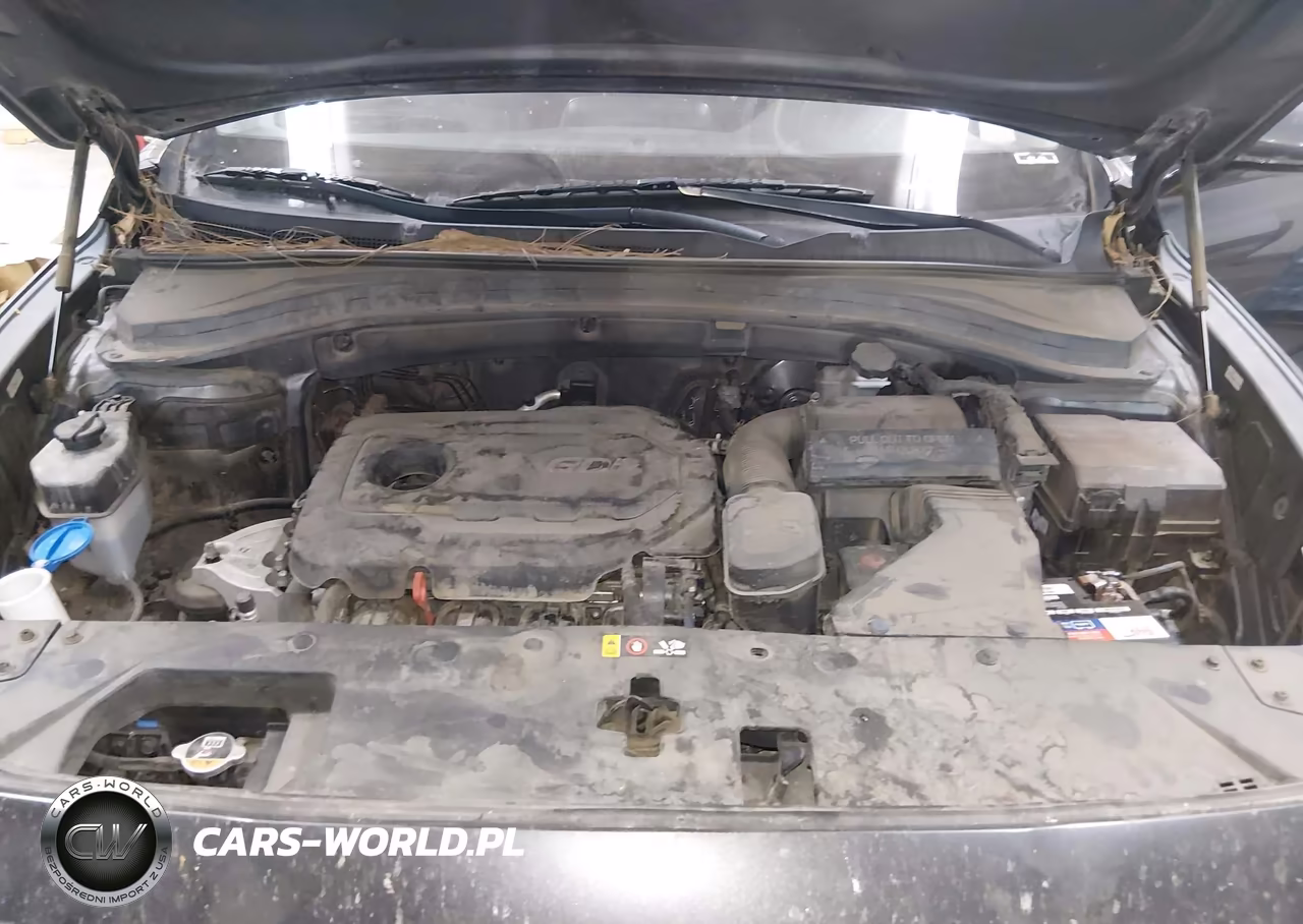 2020 Hyundai Santa Fe Sel VIN:5NMS3CAD4LH282604 - 10