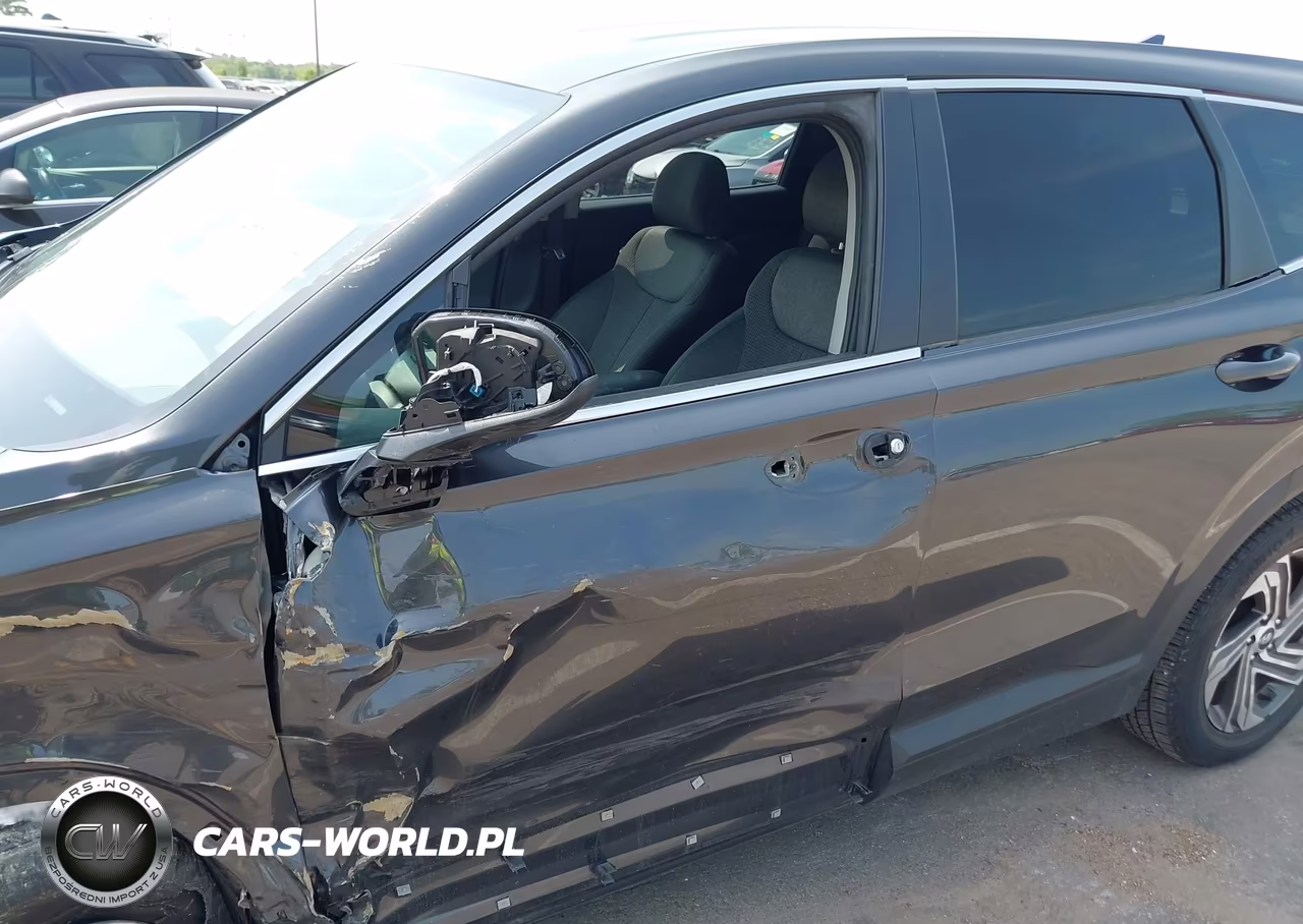 2021 Hyundai Santa Fe Se VIN:5NMS14AJ1MH350750 - 17