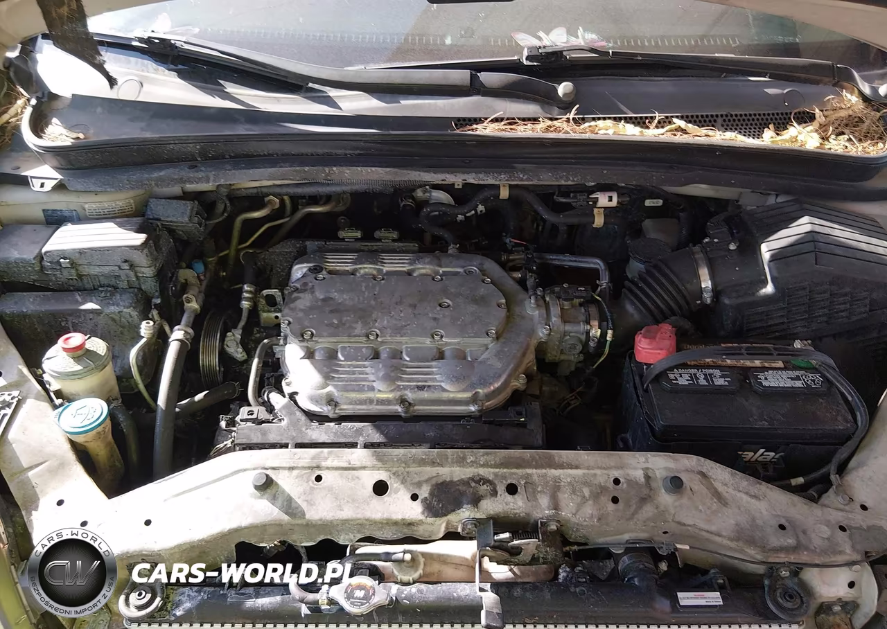 2008 Honda Odyssey Ex-L VIN:5FNRL38628B418291 - 10
