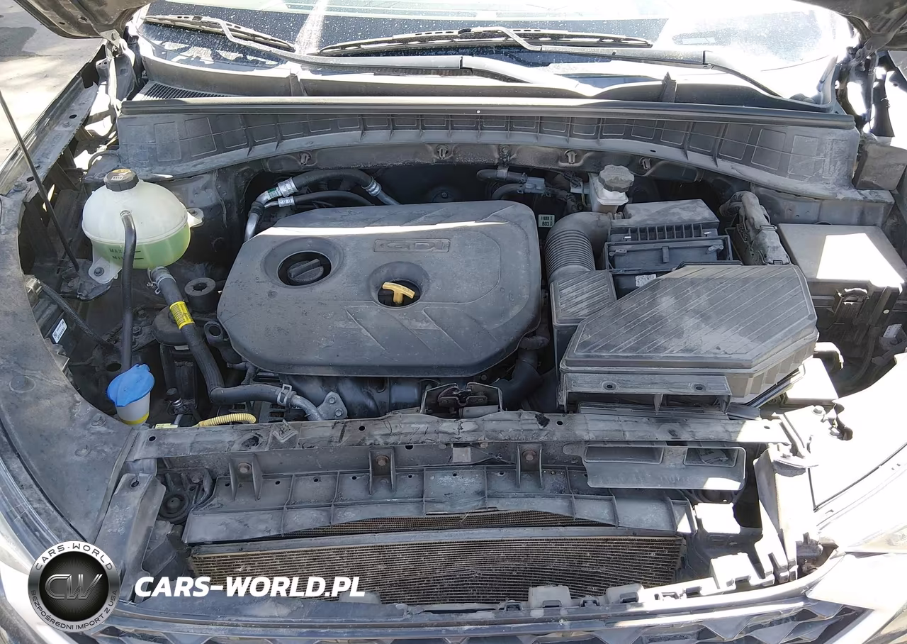 2019 Hyundai Tucson Se VIN:KM8J2CA40KU895739 - 10