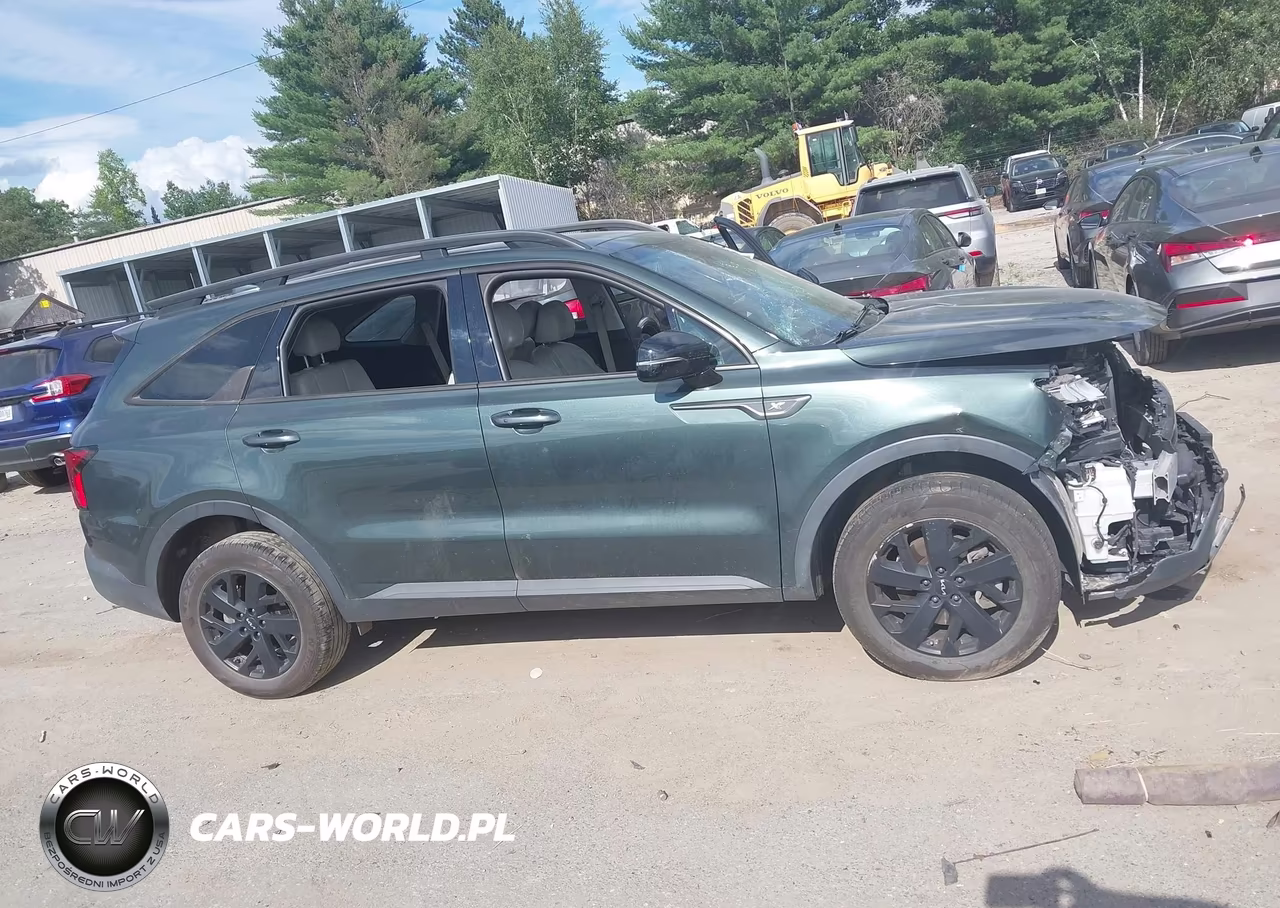 2022 Kia Sorento X-Line S VIN:5XYRLDLC5NG161666 - 10