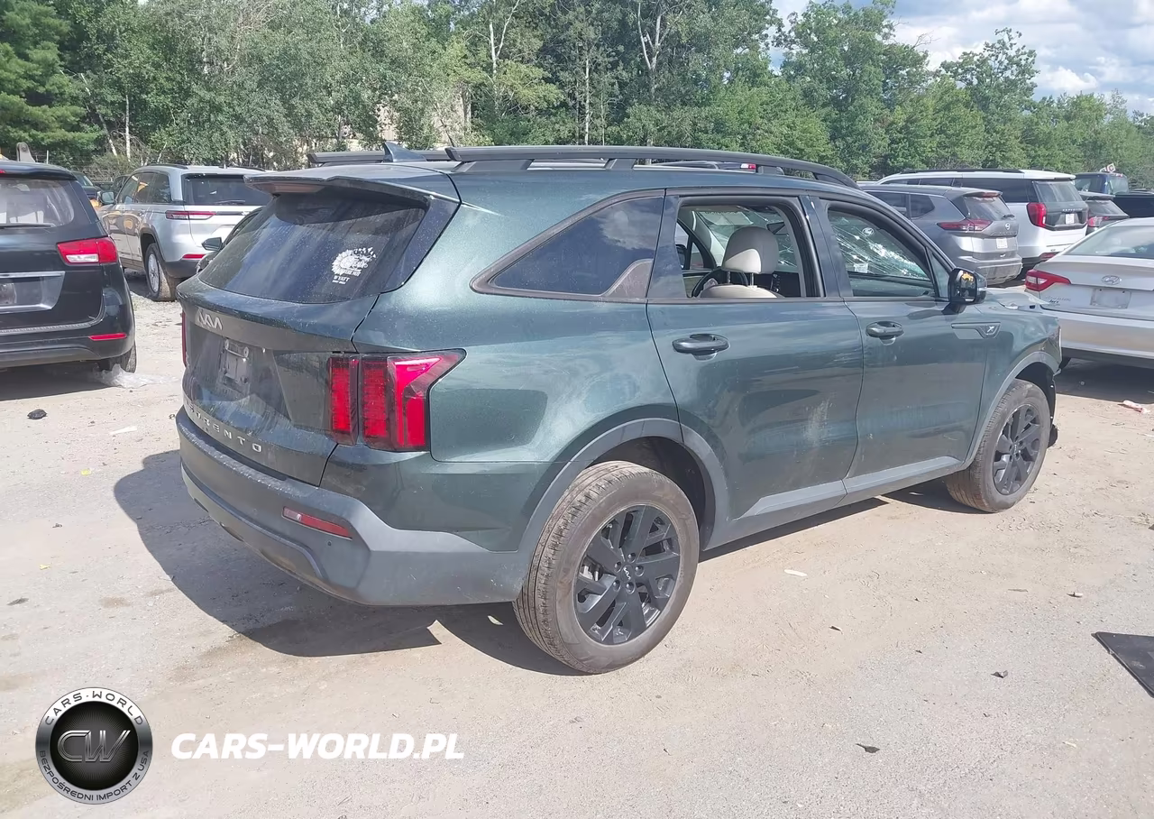 2022 Kia Sorento X-Line S VIN:5XYRLDLC5NG161666 - 3